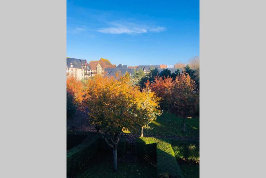 La Petite Madeleine De Proust * Cabourg